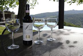 Under the Chianti Sun