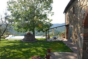 Under the Chianti Sun