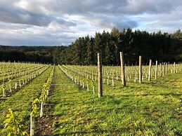 Tregoninny Vineyard and Woodland Farmhouse