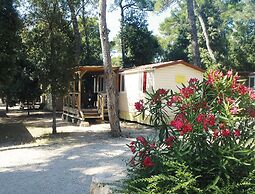 Victoria Mobilehome Camping park Soline