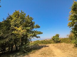 Fossil And The Cross Cottage
