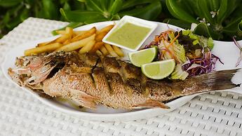 Villa Las Estrellas Tulum - located at the party zone