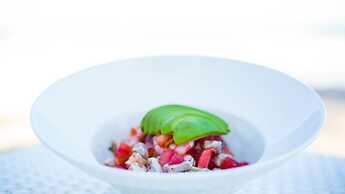 Villa Las Estrellas Tulum - located at the party zone