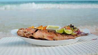 Villa Las Estrellas Tulum - located at the party zone