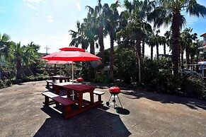 Luna in Jeju Pension