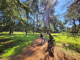 Apartments Hinterreiter