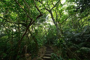 Regina Ishigaki Ocean Yonehara