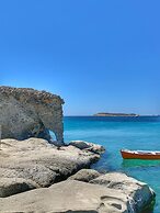 The Elephant Goupa Beach