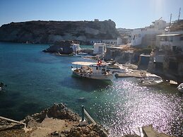 The Elephant Goupa Beach