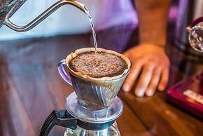 Visby Jeju Palm Village