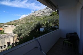 Apartments Viola