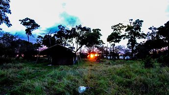 Serengeti Savannah Camps