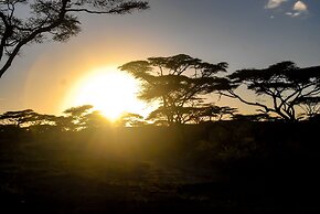 Serengeti Savannah Camps