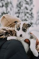 Magical Pond Nature Igloos