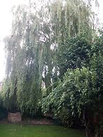 The Willow