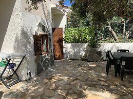 FANTASTICO BUDONI TAUNANELLA