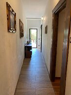 FANTASTICO BUDONI TAUNANELLA