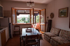 FANTASTICO SAN TEODORO FS-AH01