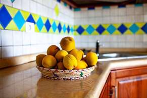 FANTASTICO PEDRAMI 1