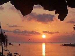 Pal's on the Beach - A Gold Standard Hotel