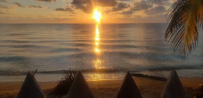 Pal's on the Beach - A Gold Standard Hotel