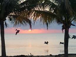 Pal's on the Beach - A Gold Standard Hotel