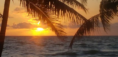 Pal's on the Beach - A Gold Standard Hotel