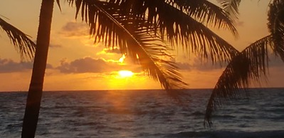 Pal's on the Beach - A Gold Standard Hotel