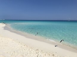 Beach and Ocean Front Apartments 1