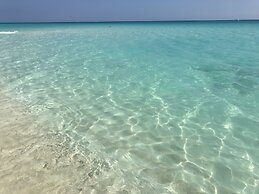 Beach and Ocean Front Apartments 1