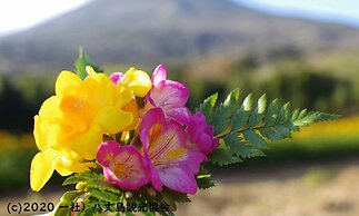 Kokumin Shukusha Sun Marina