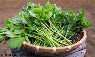 Kokumin Shukusha Sun Marina