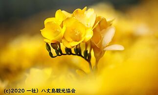 Kokumin Shukusha Sun Marina