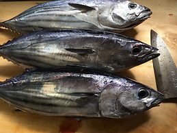 Kokumin Shukusha Sun Marina