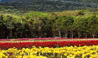 Kokumin Shukusha Sun Marina