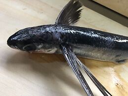 Kokumin Shukusha Sun Marina