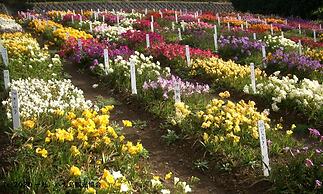 Kokumin Shukusha Sun Marina