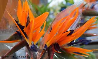 Kokumin Shukusha Sun Marina