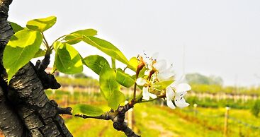 Agriturismo Magnarosa
