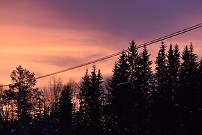 Fresh Familie Hytte Hemsedal