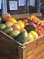 Higgihaus at 3b Cheltenham Lane Bristol