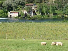 Quinta do Burgo