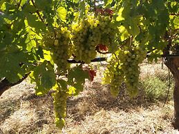 Sa Plana Petit Hotel