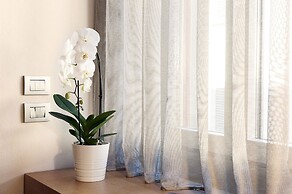 Pilastri Five Senses