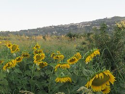 Country House Podere Casorbica