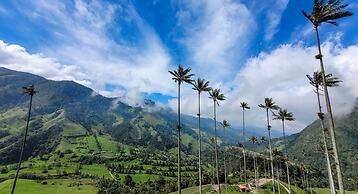 Three House Hostel Boutique