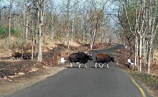 Hotel Shripad Continental