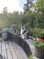 Mavens Kustnära Stugor