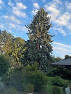 Glycines Country Guesthouse