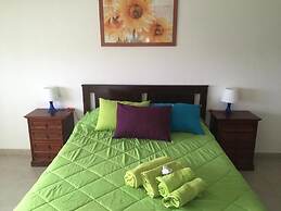 7D Solário by Casas & Papéis